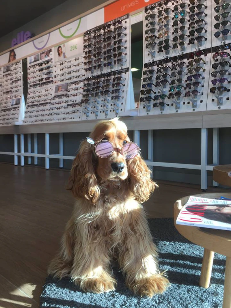 Opticien GRANVILLE Générale d'Optique