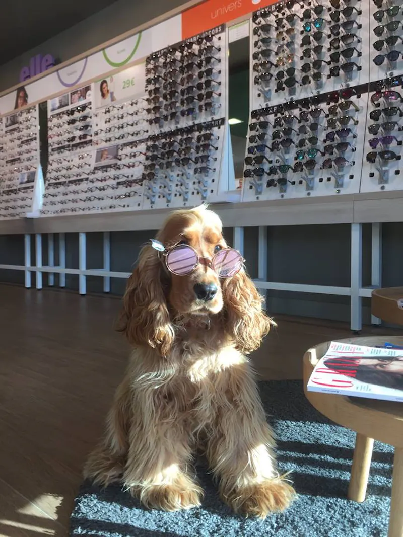 Opticien GRANVILLE Générale d'Optique